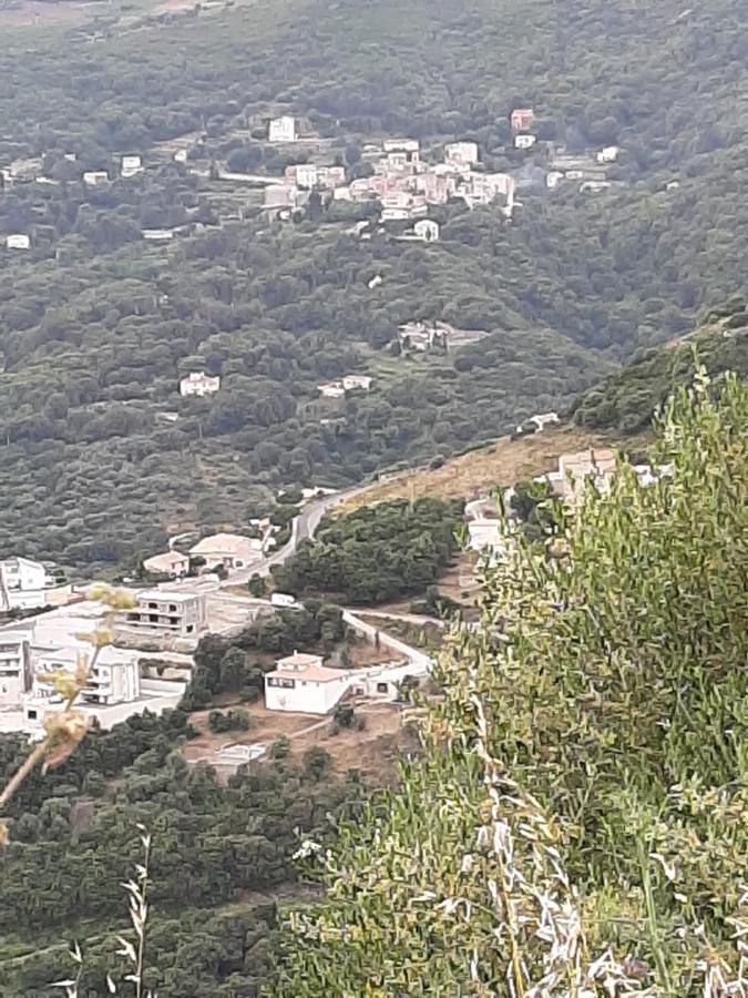 Ribellu Bastia (Corsica) Exterior foto